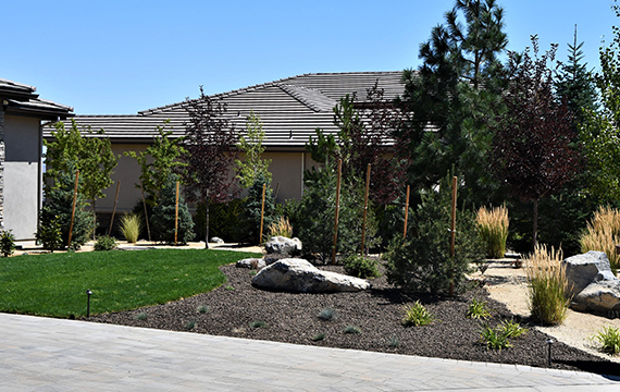 landscap-home-banner
