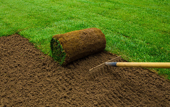 sodding-grass-banner