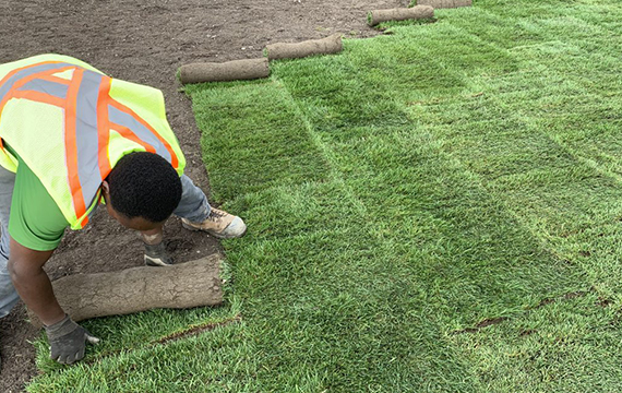sodding-grass-prons-banner